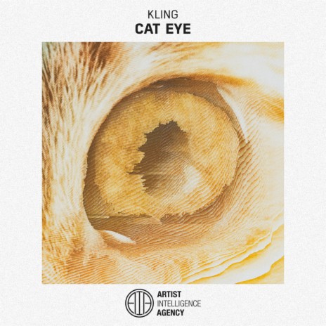 Cat Eye | Boomplay Music