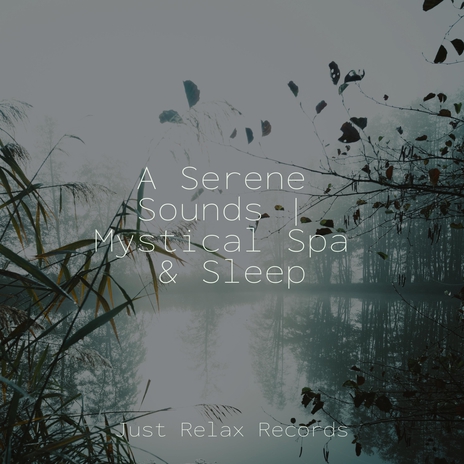 Radiant Rush of Joy ft. Deep Sleep Meditation & Bedtime Lullabies | Boomplay Music