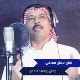 جمال بو حمد الاحمر