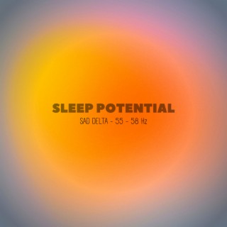 Sleep Potential