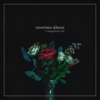 Uncertain Silence