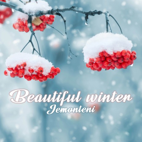 Beautiful Winter | Boomplay Music