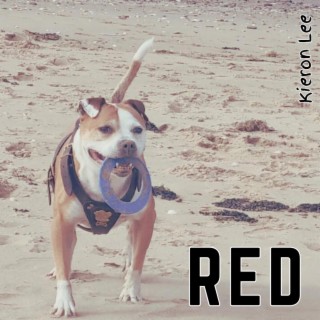 RED lyrics | Boomplay Music