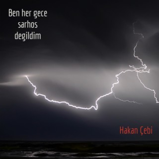 Ben her gece sarhoş değildim