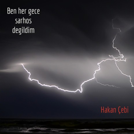 Ben her gece sarhoş değildim | Boomplay Music