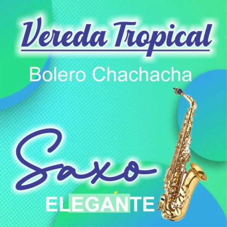 Vereda Tropical, Bolero Chachacha | Boomplay Music