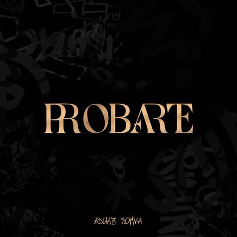 PROBARTE | Boomplay Music