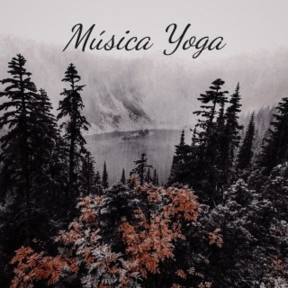 Musica de Yoga: albums, songs, playlists