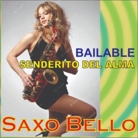 BAILABLE Senderito del alma LIZANDRO MEZA | Boomplay Music