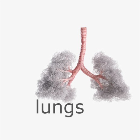 lung (feat. $tubby)