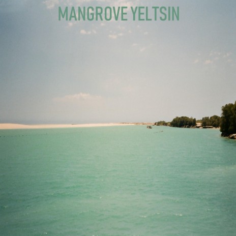 Mangrove Yeltsin