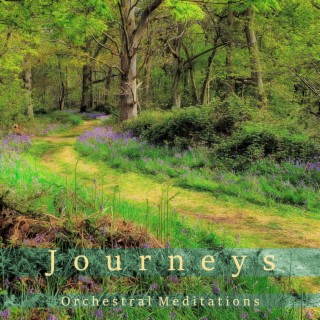 Orchestral Meditations