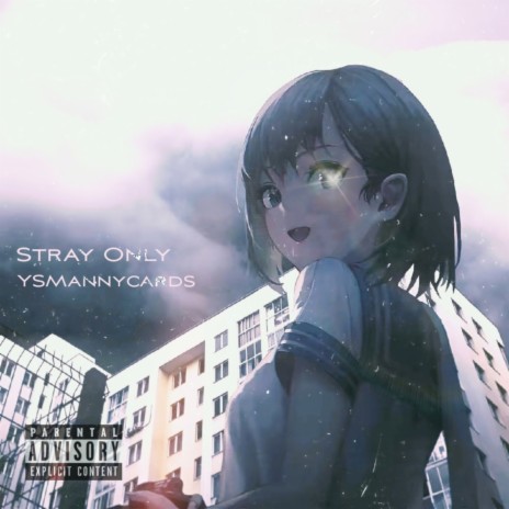 Stray Only | Boomplay Music