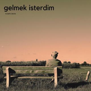 Gelmek İsterdim