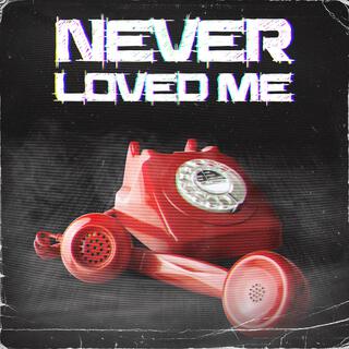 Never Loved Me