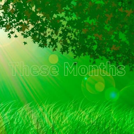 These Months | Boomplay Music