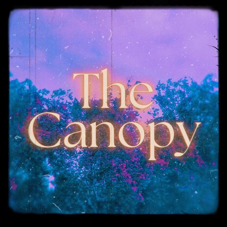 The Canopy | Boomplay Music