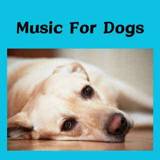 Music For Dogs