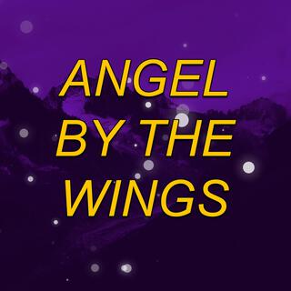 ANGEL BY THE WINGS (MTG - SLOWED + REVERB)