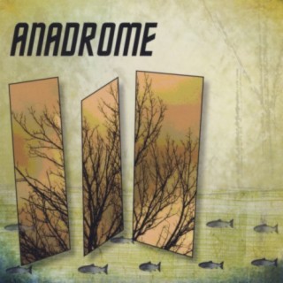 Anadrome