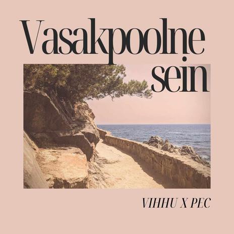 Vasakpoolne sein ft. Pec | Boomplay Music