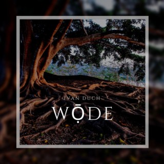 Wode: Of Merlin, Magic and Druids