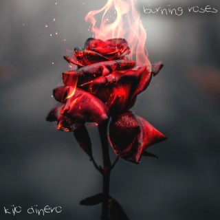 Burning Roses