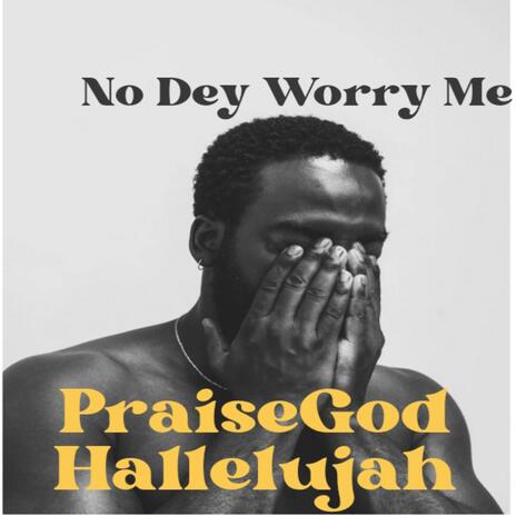 No Dey Worry Me | Boomplay Music