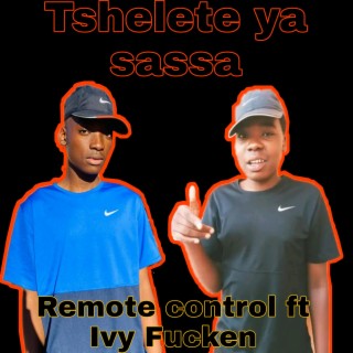 Tshelete ya sassa