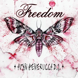 Freedom (Radio Edit)