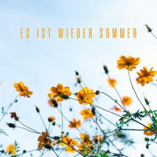 es ist wieder sommer