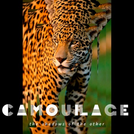 Camouflage | Boomplay Music