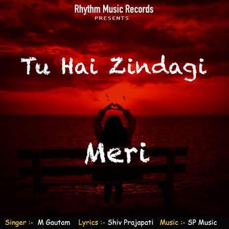 Tu Hai Zindagi Meri | Boomplay Music