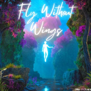 Fly Without Wings