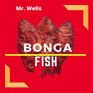 Bonga Fish