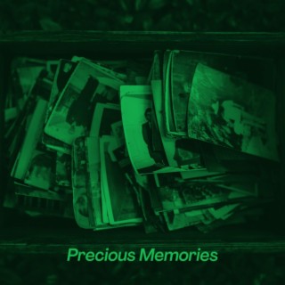 Precious Memories (Acoustic Version)