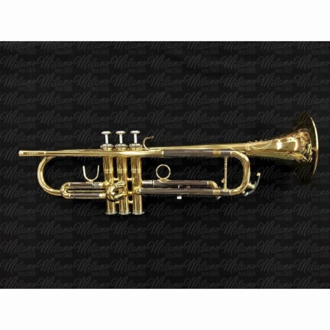 Trumpet | Boomplay Music