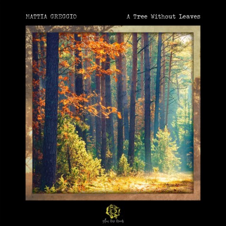 A Tree Without Leaves | Boomplay Music