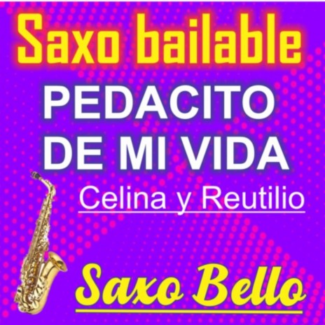 PEDACITO DE MI VIDA(Celina y Reutilio) | Boomplay Music