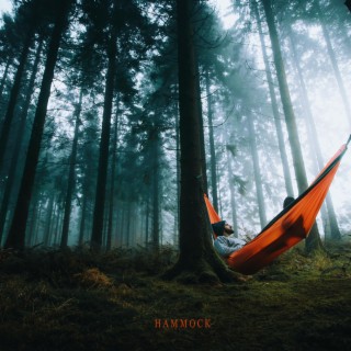 Hammock