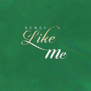 Like Me lyrics | Boomplay Music