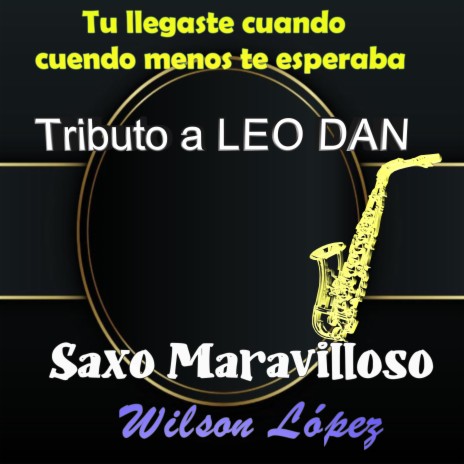 Tu Llegaste Cuando Menos Te Esperaba...tributo a Leo Dan | Boomplay Music