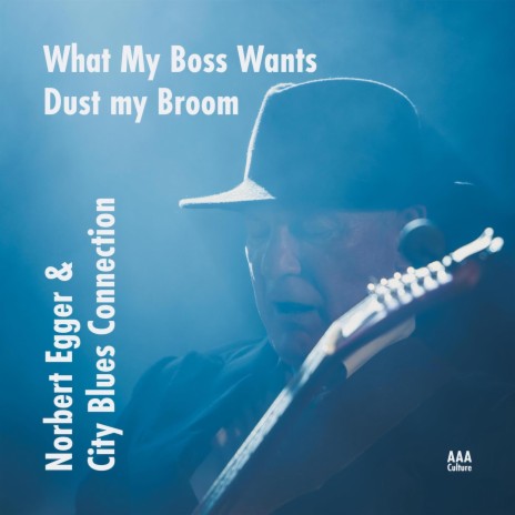 Dust My Broom | Boomplay Music