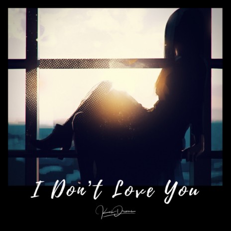 I Don't Love You | Boomplay Music