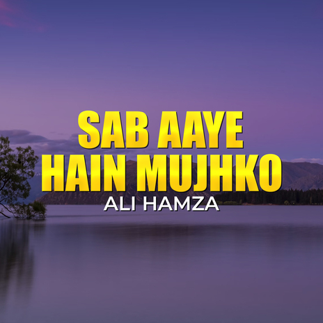 Sab Aaye Hain Mujhko | Boomplay Music