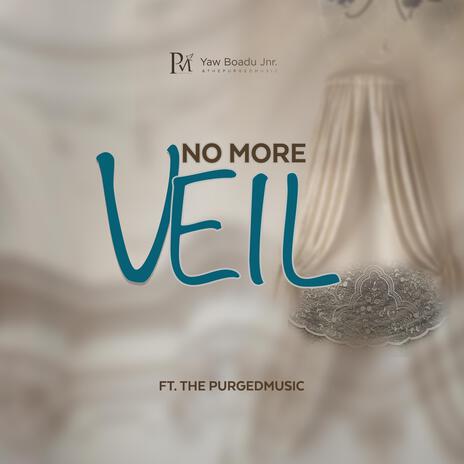 NO MORE VEIL ft. the PurgedMusic | Boomplay Music