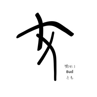 Bud