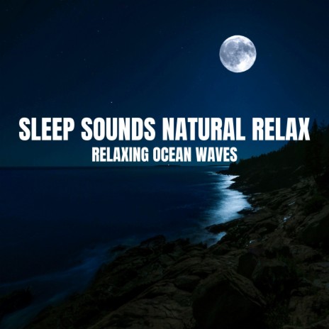 Tranquil Ocean Sounds | Boomplay Music