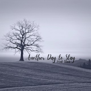 Another Day to Stay