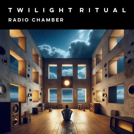 Radio Chamber (Radio Edit [Remastered]) | Boomplay Music